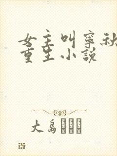 女主叫宁秋棠的重生小说