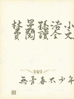 林曼孙浩小说免费阅读全文最新章节