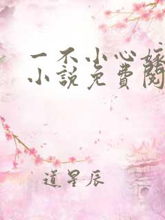 一不小心嫁总裁小说免费阅读