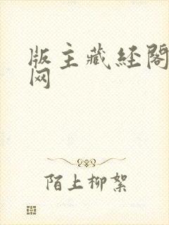 版主藏经阁小说网