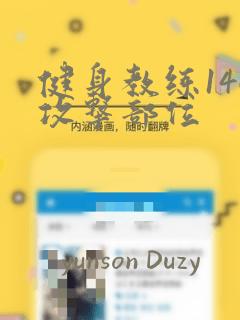 健身教练146攻击部位