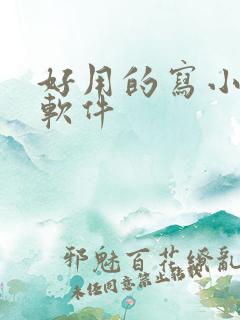 好用的写小说的软件