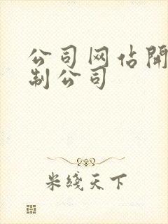 公司网站开发定制公司