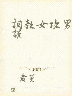 调教女攻男受小说