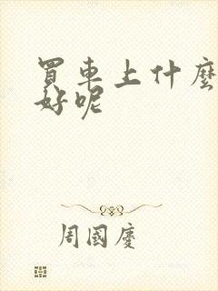 买车上什么网站好呢