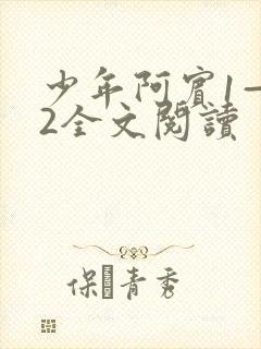 少年阿宾1—72全文阅读