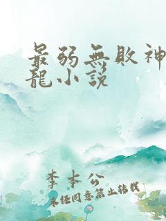 最弱无败神装机龙小说