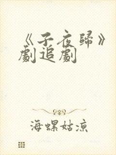 《子夜归》电视剧追剧