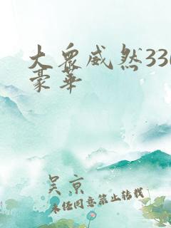 大众威然330豪华