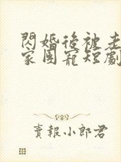 闪婚后被老公全家团宠短剧热播