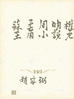苏柔周明权赵刚主角小说免费阅读