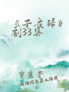 《子夜归》电视剧33集
