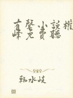 有声小说权力巅峰免费听