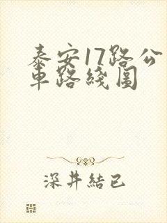 泰安17路公交车路线图