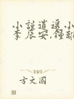 小说逍遥小贵婿李辰安,钟离若水