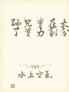 师兄实在太稳健了实力划分