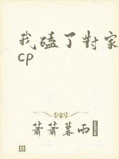 我磕了对家x我cp