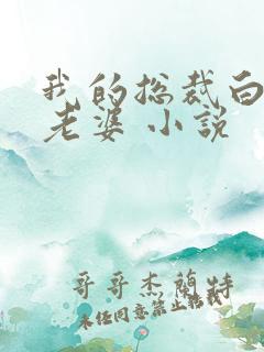 我的总裁白富美老婆 小说