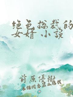 绝色总裁的上门女婿 小说