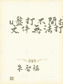 u盘打不开提示文件无法打开或损坏怎么办