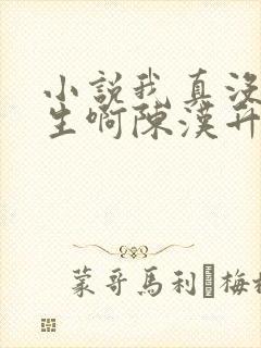 小说我真没想重生啊陈汉升全文