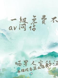 一级免费不卡的av网站