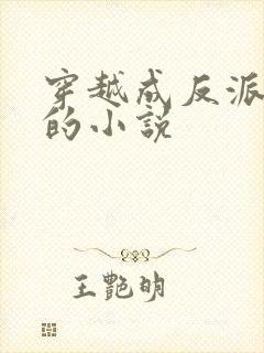 穿越成反派魔女的小说