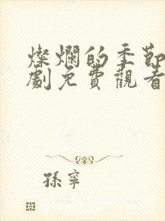 灿烂的季节电视剧免费观看完整版