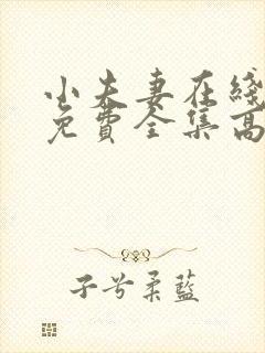 小夫妻在线观看免费全集高清完整
