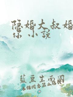 隐婚大叔婚不见你 小说