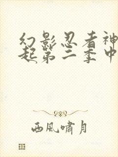 幻影忍者神龙崛起第二季中文版