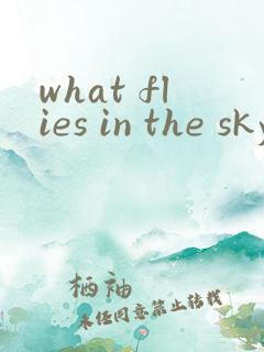 what flies in the sky绘本翻译