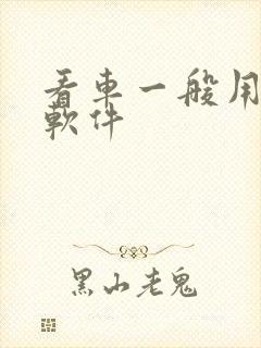 看车一般用什么软件