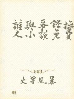 谁与争锋抚琴的人小说免费阅读免费