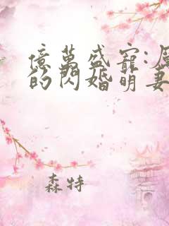 亿万盛宠:厉少的闪婚萌妻
