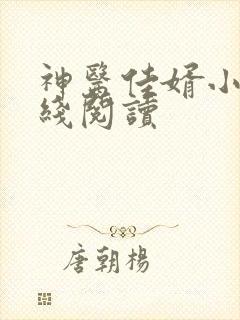 神医佳婿小说在线阅读