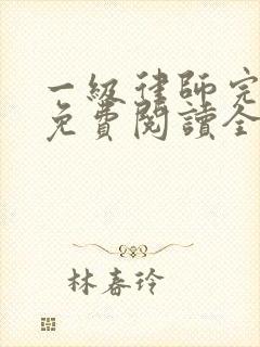 一级律师完整版免费阅读全文