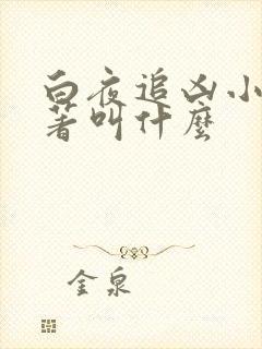 白夜追凶小说原著叫什么