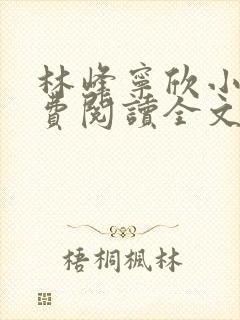 林峰宁欣小说免费阅读全文下载