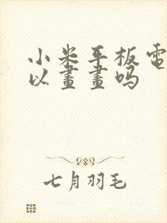 小米平板电脑可以画画吗