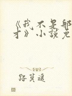 《我不是那种人才》小说免费阅读