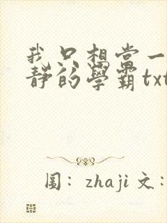 我只想当一个安静的学霸txt