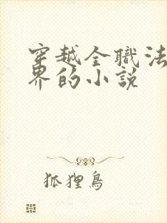 穿越全职法师世界的小说