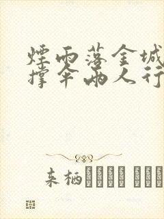 烟雨落金城一人撑伞两人行