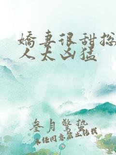 娇妻很甜总裁大人太凶猛