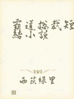 霸道总裁短篇完结小说