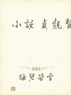 小说 贞观贤王
