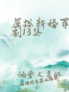 厉总新婚罪妻短剧13集