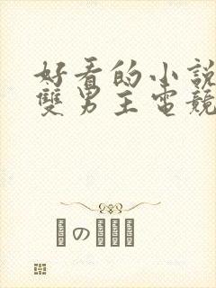 好看的小说推荐双男主电竞