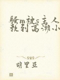 骚m被s主人调教到高潮小说